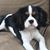 Lisa Clark Jackson's profile image