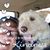 Judi Crumpacker Vigliaturo's profile image