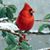 Donna Copeland's profile image
