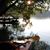 Patty Adamson's profile image