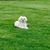 Dan Ehrfurth's profile image