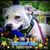 Heather Thurman-Forsman's profile image