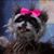 Claire Sewell's profile image