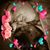 Tammy Proof's profile image