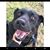 Donna Kuhn's profile image