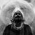 Jasman Lion Mander's profile image