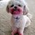 Sandy White's profile image