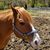 Carol Bender Gaffney's profile image