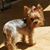 Cherry Correa's profile image