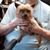 Martha Leora Nick-Stutsman's profile image