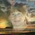 Susanne Casey Berman's profile image