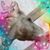 Mindy Horn's profile image