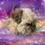 Susanne Wolf's profile image