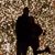 Jennifer Brillon Cuffley's profile image