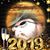 Rex Heschke's profile image