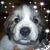 Julie Rimmer Spickerman's profile image