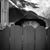 Ken Darsey's profile image