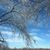 Shelly Johnston Starkey's profile image