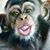 Twila Powers's profile image