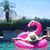 Brynn Jacobi's profile image