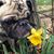 Heather Jenine Nichols's profile image