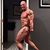 Tim Martin's profile image