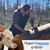 Shane Seven Wolfe's profile image