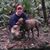John Stafford's profile image