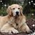 Cheryl Winslow Finan's profile image