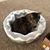 Lori Cento's profile image