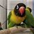 Wendy Edwards Collins's profile image