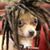 Pam Lawrence Callaway's profile image