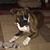 Terri Hahn's profile image