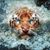 Paul R Griffith's profile image