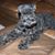 Jan Stevens Thompson's profile image