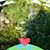 Lori Tackes's profile image