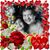Bibi Shamin's profile image