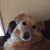 Lynn Nyborg's profile image