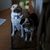 Cindy Taylor's profile image