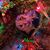 Jane Annunziata's profile image