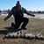 Jeremy Karalis's profile image