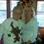 Virginia Layne Blalock's profile image