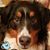 Isabelle Passmore's profile image