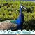 Donna Marie Hozalski Cantera's profile image