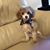 Linda Shaw Blanchard's profile image