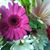 Sue Tucker's profile image