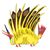Julie Murphy's profile image