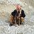 Sebastian Moosmaier's profile image