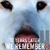 Susi Barnett's profile image