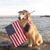 Cindy Lassiter Wilson's profile image